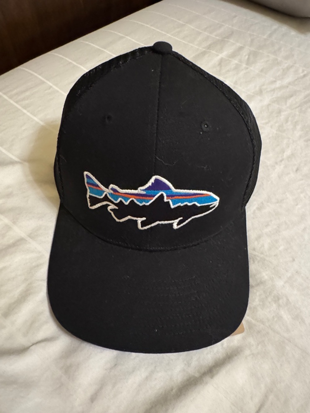 Patagonia Black Mesh Trucker Hat with Multicolor Fish Patch